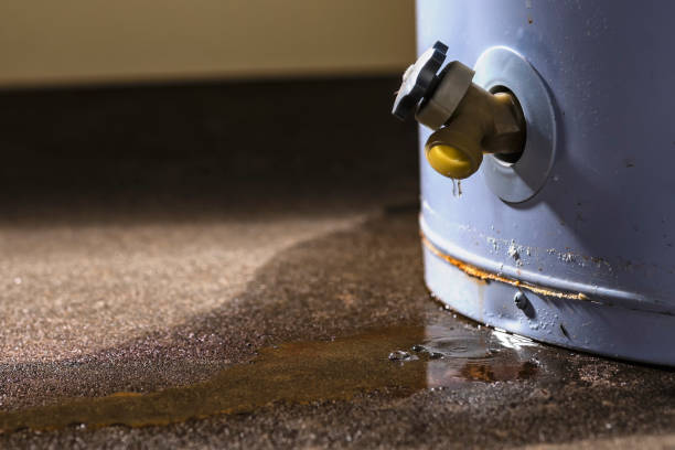 Best Sewage cleanup and water damage restoration  in Homestead, PA