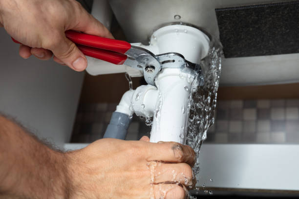 Best Water damage contractors near me  in Homestead, PA