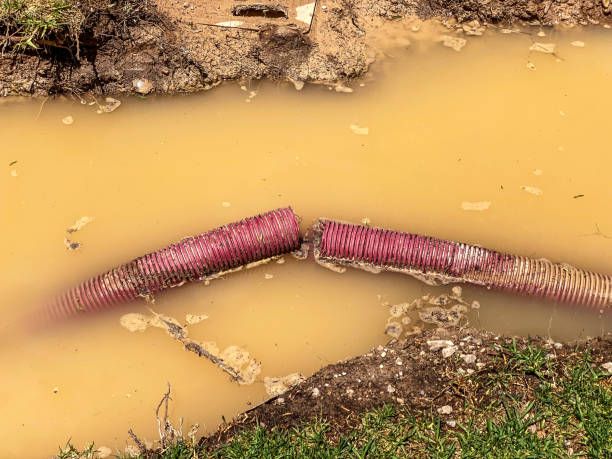 Best Carpet water damage restoration  in Homestead, PA