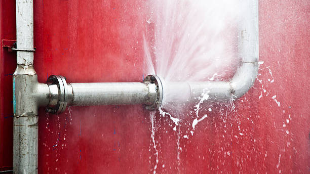 Best Water damage restoration near me  in Homestead, PA